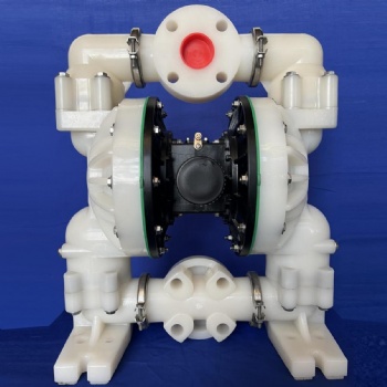 2 Inch DP21 Non-Metallic Diaphragm Pump