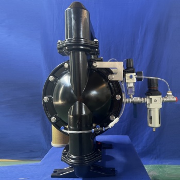 2 Inch Powder Pump